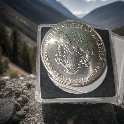 American silver eagle 1991 - eagle,