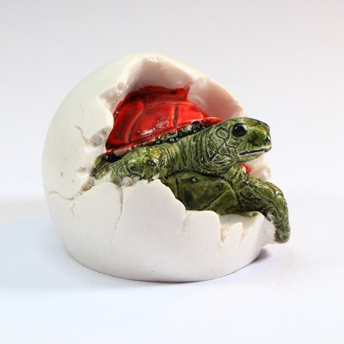 Baby schildkröte schlüpft - schildkröte,