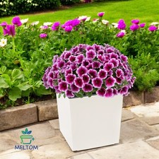 Blumenkübel Pflanzkübel