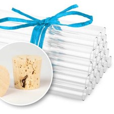 Tuuters 100x Reagenzgläser