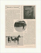 Winterarbeit im Trabrennstall. An der Longe Pferde Schnee Sport F_Vintage 00582