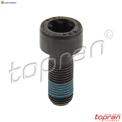 Schwungradschraube 702 162 - 702,