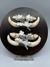 Keilerzähne -  Keilerwaffen -