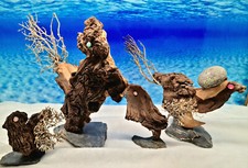 👩‍🎨 Aqua Art Wurzel