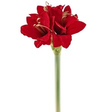 Kunstblume Amaryllis, 4er Set