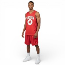 Wisconsin Badgers USA