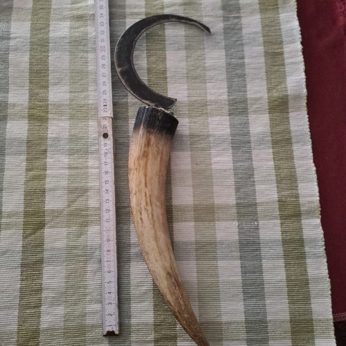 Horngriff sichel - horngriff,