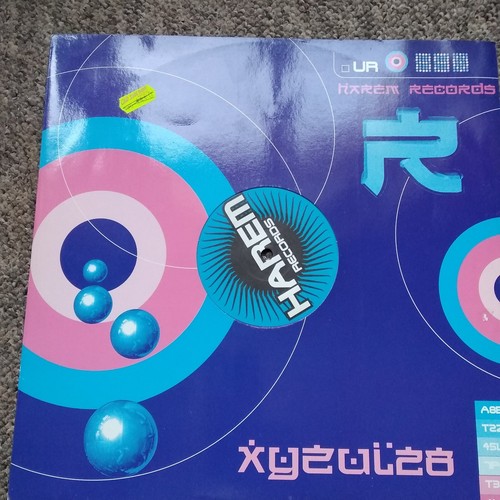 Techno vinyl harem - 4,