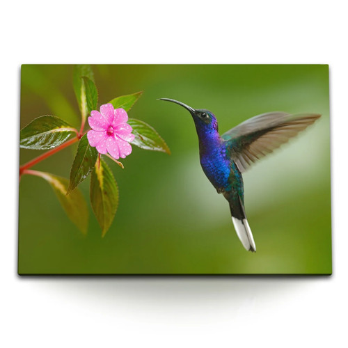120x80cm wandbild auf leinwand - wandbild,