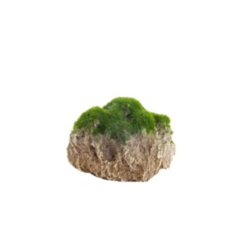 Aqua della moss - della, zum