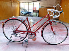 Vintage Rennrad Schwalbe