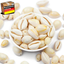 Natürliche Muschelperlen