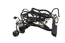 Kabelbaum Einspritzanlage