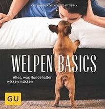 Welpen-Basics: Alles, was