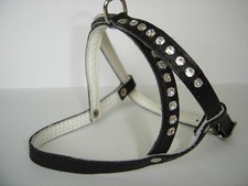 HUNDEGESCHIRR - Geschirr