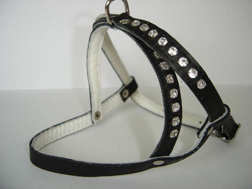 Hundegeschirr geschirr - -,