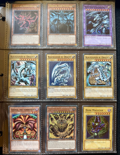 Blauäugiger weißer drache - weißer,