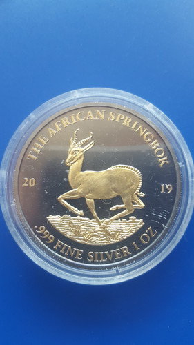 African springbok 2019 silver - african,