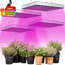 🌼 Pflanzenlampe LED