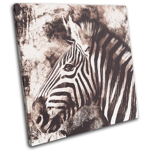 Zebra vintage shabby chic - zebra,