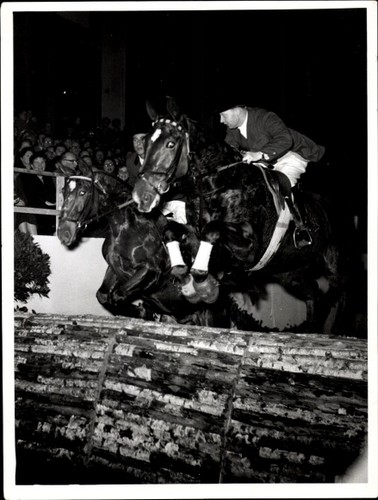 Foto reitturnier - foto,