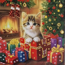 Canvas Diamond Painting Erwachsene Katzen  Keilrahmen  30 x 30 Bilder