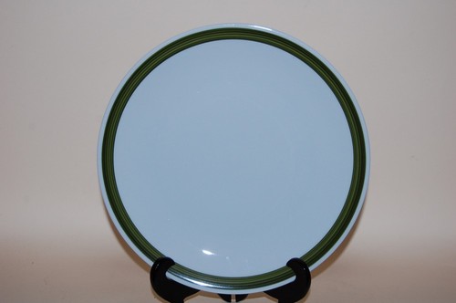 Speiseteller grüner rand 24cm - rand,
