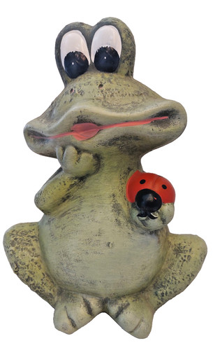 Frosch marienkäfer - frosch,
