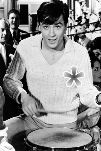 Foto alain delon reproduktion - foto,