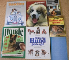 Bücher-Paket 7 HUNDEBÜCHER Wissensw.•Erziehung•Lexikon•Krankheiten•Lustiges ect.