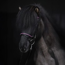 Top Reiter Demantur Bridle Set