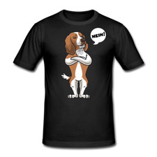 Sturer Welsh Springer Spaniel