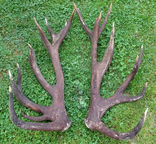 Super paar abwurfstangen - abwurfstangen, 8,3kg