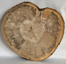 Baumscheibe, Holzscheibe