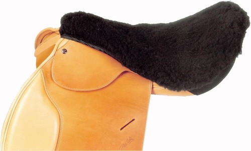 Busse sitzfell englisch - busse,
