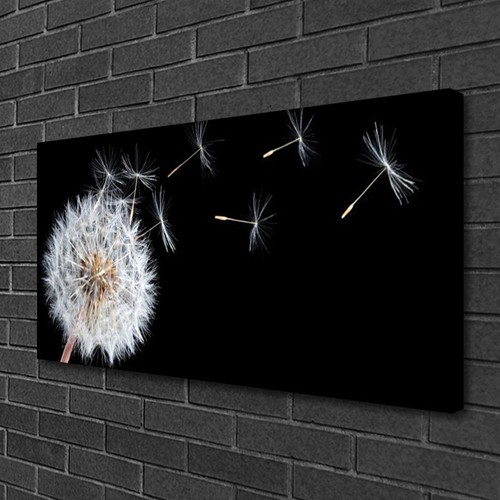 Leinwand bilder 100x50 - leinwand-bilder,