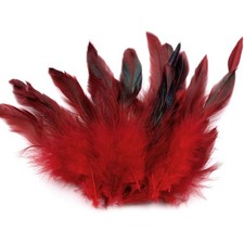 20 Hühnerfedern 6-15cm Federn