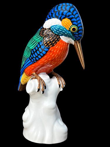 Seltener eisvogel aus - eisvogel,