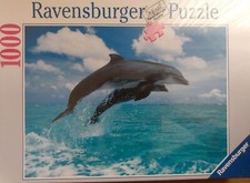 GW1844 Springende Delphine