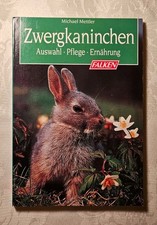 Zwergkaninchen - Auswahl