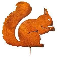 Edelrost Eichhörnchen zum