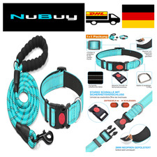 Haapaw Reflektierendes