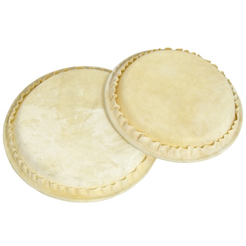 World rhythm bongo - world, drum
