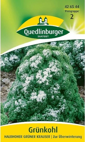 Grünkohl halbhoher grüner - grünkohl,