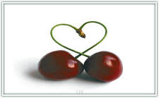 Könighaus Infrarotheizung - 1000W Bildheizung in HD 200+Motive + Thermostat