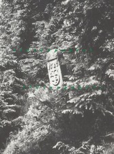 Rennsteig Neuhaus Igelshieb