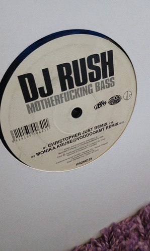 Techno vinyl sammlung 20x12 - vinyl,