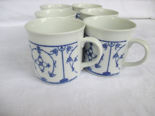 Winterling indisch blau - winterling,
