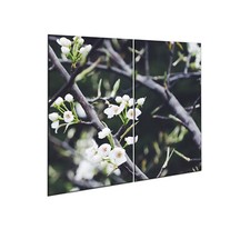 Herdabdeckplatten Set 2x30x52