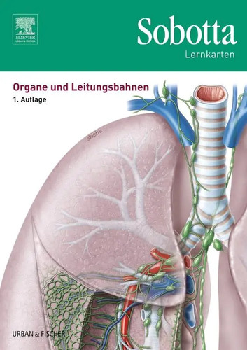Sobotta lernkarten organe und - sobotta,